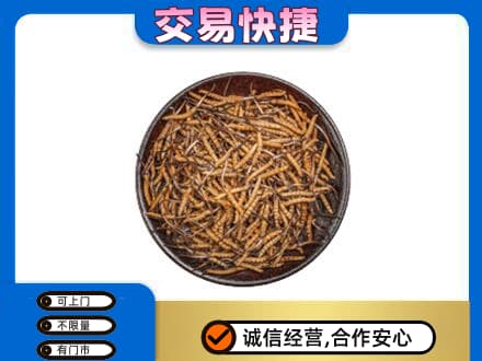 酒泉市阿克塞礼品回收虫草.jpg