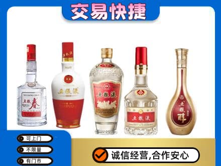 酒泉市阿克塞名酒回收五粮液系列.jpg